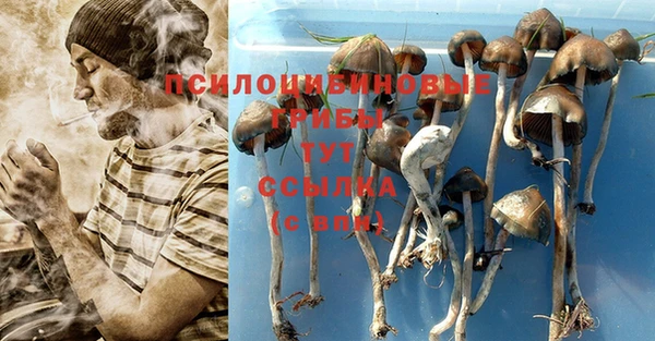 таблы Алексеевка