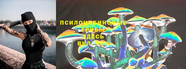таблы Алексеевка
