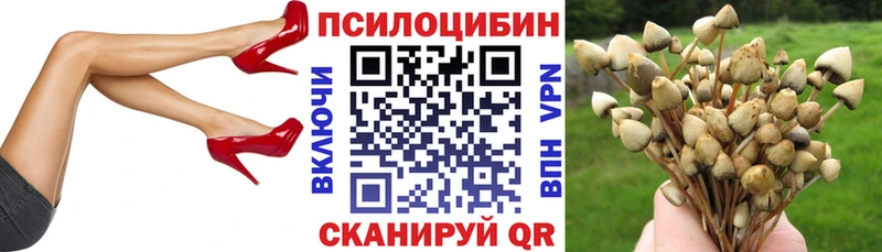 купить  сайты  Рубцовск  Галлюциногенные грибы мицелий 